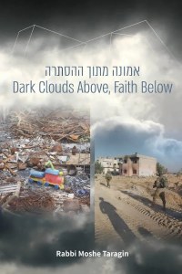 Picture of Dark Clouds Above Faith Below [Hardcover]